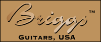 Briggs Guitars